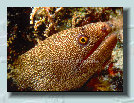 oceanimages003033.jpg